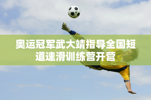 技战术水平